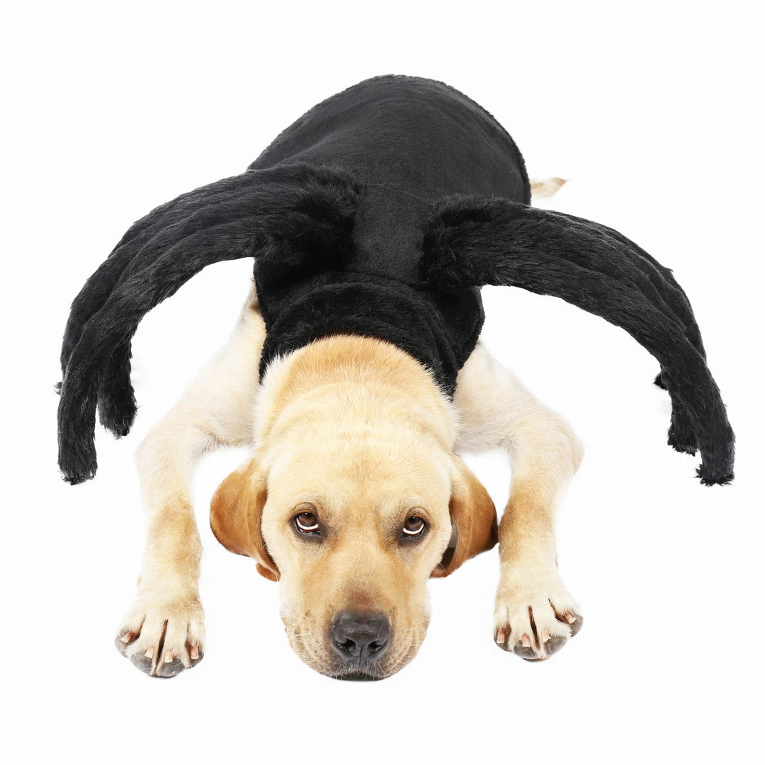 Spooktacular Creations Pet Spider Costume Pet Costumes 6 Spooktacular Creations Pet Spider Costume Pet Costumes