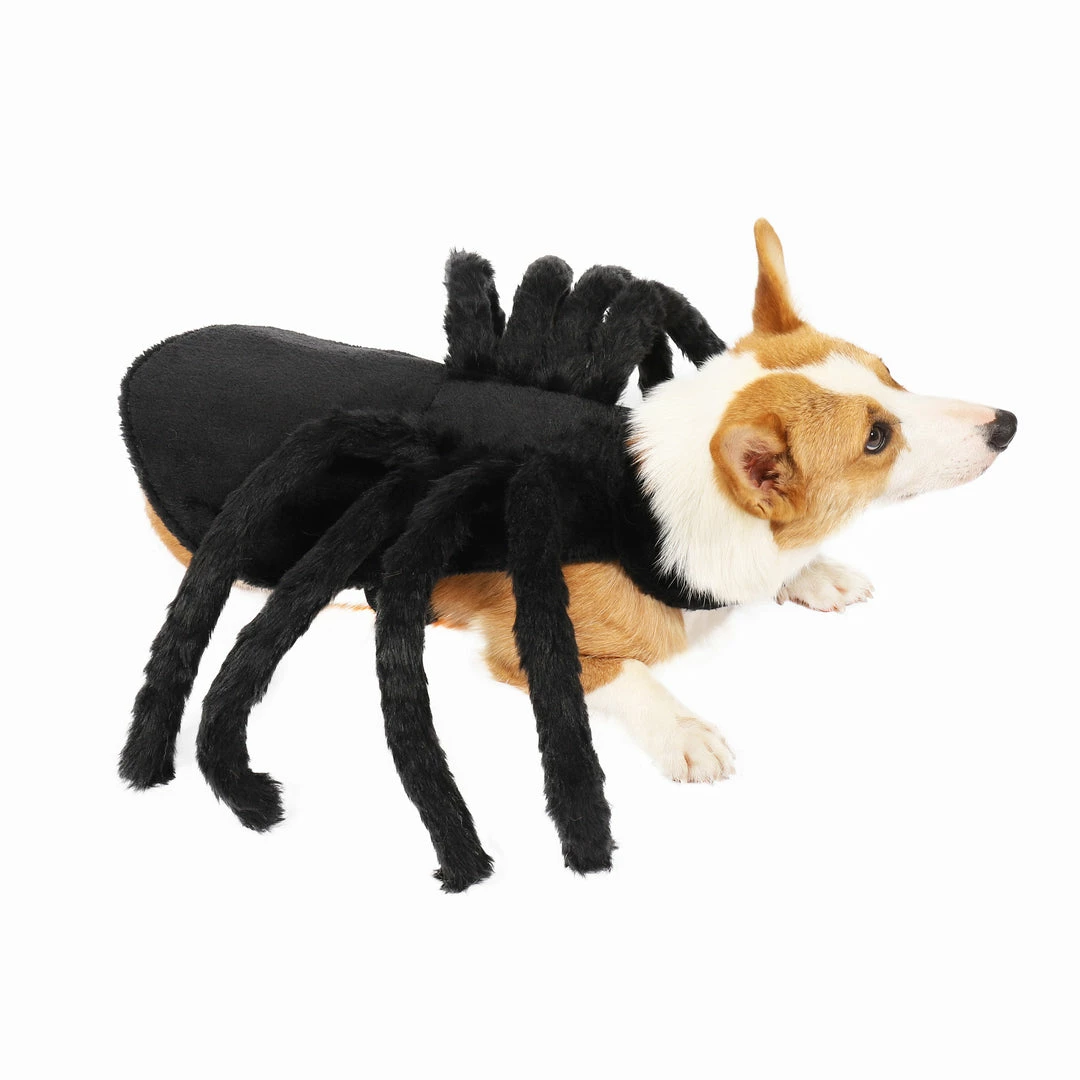 Spooktacular Creations Pet Spider Costume Pet Costumes 4 Spooktacular Creations Pet Spider Costume Pet Costumes