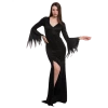 Spooktacular Creations Black Floor Length Gothic Dress - Adult Adult Costumes