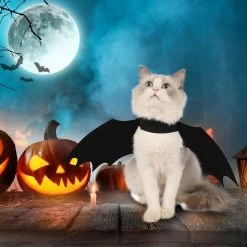 Spooktacular Creations Bat Wings Cat Costume