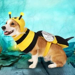 Spooktacular Creations Bee Dog Cute Costume Pet Costumes 9 Spooktacular Creations Bee Dog Cute Costume Pet Costumes