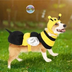 Spooktacular Creations Bee Dog Cute Costume Pet Costumes 10 Spooktacular Creations Bee Dog Cute Costume Pet Costumes