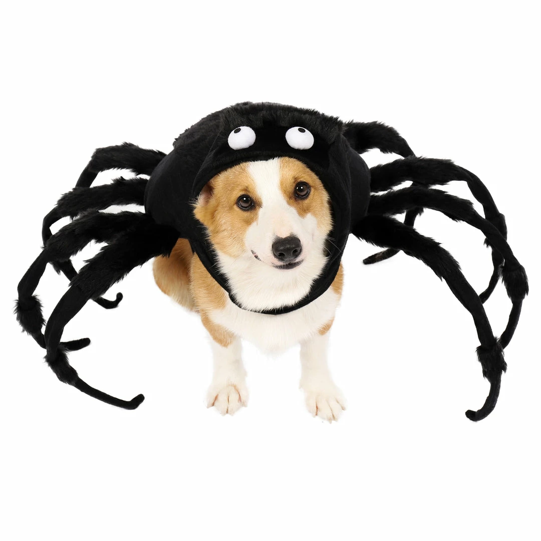 Spooktacular Creations Pet Tarantula Costume Pet Costumes 3 Spooktacular Creations Pet Tarantula Costume Pet Costumes