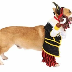 Spooktacular Creations Pirate Dog Funny Costume
