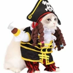 Spooktacular Creations Pirates Cat Funny Costume 7 Spooktacular Creations Pirates Cat Funny Costume