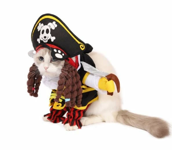 Spooktacular Creations Pirates Cat Funny Costume 4 Spooktacular Creations Pirates Cat Funny Costume