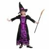 Spooktacular Creations Classic Costumes Bat Witch Costume (Purple) - Child