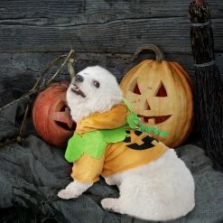 Spooktacular Creations Pet Costumes Pumpkin Pet Costume